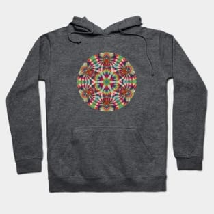 Psychedelic Kaleidoscopic Multi-Color Mandala Number 4 Circle Hoodie